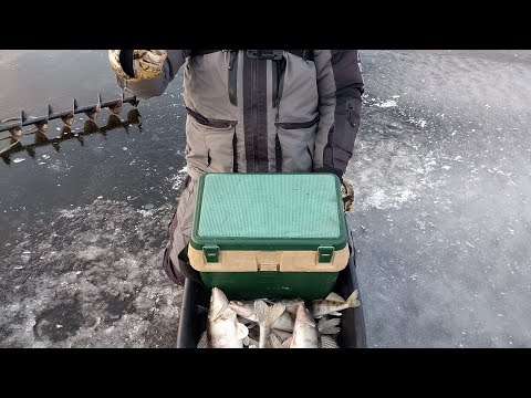 Видео: Открытие 23-24г.берш судак на горе-море              числа 25,26,27ноябрь