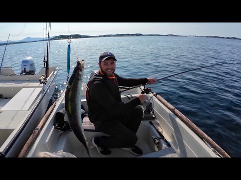 Видео: Охота за Норвежской Селедкой! ОПАСНОЕ ПУТЕШЕСТВИЕ! Ловля селедки в Норвегии