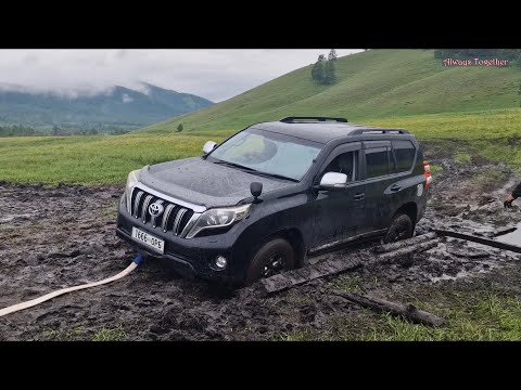 Видео: Рыбалка на ручье. Хариус. Прадо в болоте.