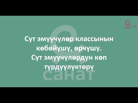 Видео: Зоология 7 класс 29 сабак