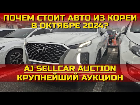 Видео: ПОЧЕМ СТОИТ АВТО ИЗ КОРЕИ В ОКТЯБРЕ 2024 ГОДУ? КРУПНЕЙШИЙ АУКЦИОН AJ SELLCAR AUCITON. EA AUTO GROUP