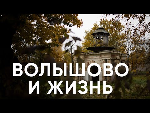 Видео: Волышово и жизнь / Что ждет усадьбу Строгановых в порховской деревне Волышово? / Эхо Псковы