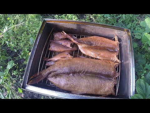 Видео: Копчение щуки,окуня и карася на мангале