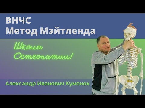 Видео: ВНЧС | Метод Мейтленда | Школа Остеопатии | Александр Иванович Кумонок