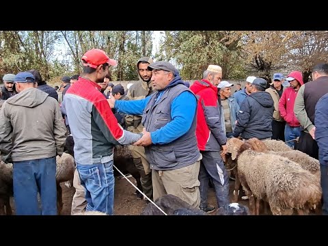 Видео: Молбозори Нуроншоҳ 29 10 25г