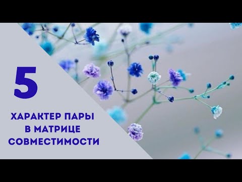 Видео: Совместимость.5 энергия в характере пары.Матрица судьбы.