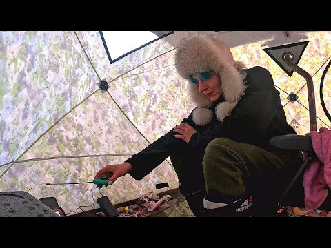 Видео: Зимняя рыбалка В ПАЛАТКЕ 2025. Лёд ГРЕМИТ, КАК ПОРОВОЗ! #486