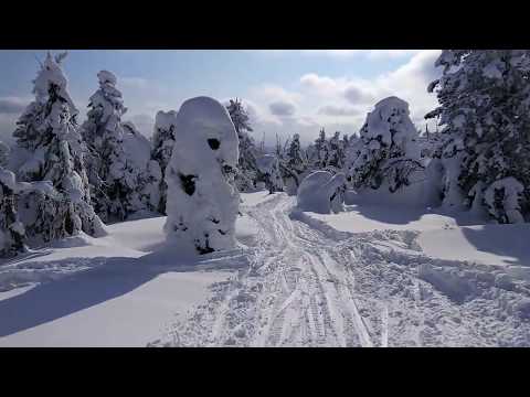 Видео: марафон ослянка 2018