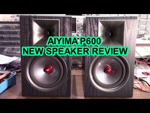 Видео: Обзор новой полочной акустической системы Aiyima P600