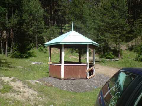 Видео: Алицата земи ме бела инко