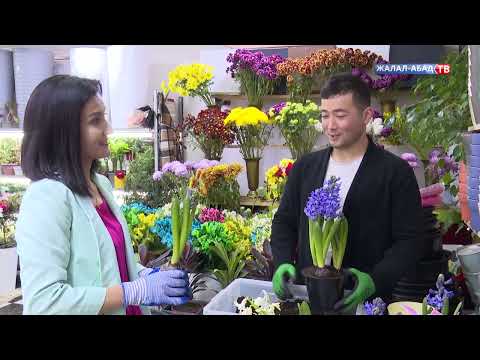 Видео: Өнөр: Гүл өстүргөн багбан Асан Мадумаров