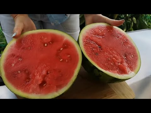 Видео: Малосольный Арбуз за сутки.конкурент огурцов.Gesalzene Wassermelone.Salted watermelon.بطيخ مملح.咸西瓜.