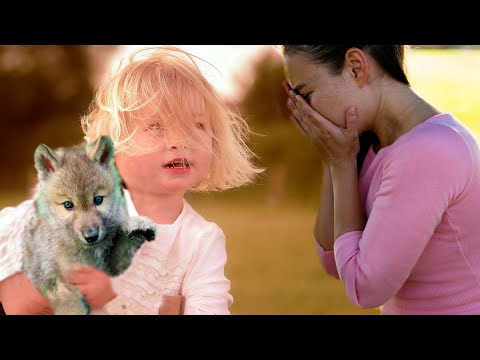 Видео: Дочь принесла овдовевшей маме осиротевшего волчонка и отказалась отпускать, а дальше было...
