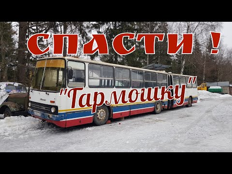 Видео: История одного Икаруса-280: Спасти нельзя утратить?