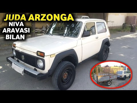 Видео: ЖУДА АРЗОНГА НИВА АРАВАСИ БИЛАН СОТИЛЯПТИ! УЛГУРИБ ҚОЛИНГ!