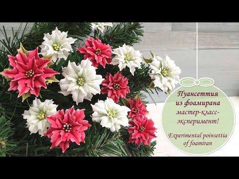 Видео: Пуансеттия из фоамирана /мастер-класс-эксперимент/ Experimental poinsettia of foamiran