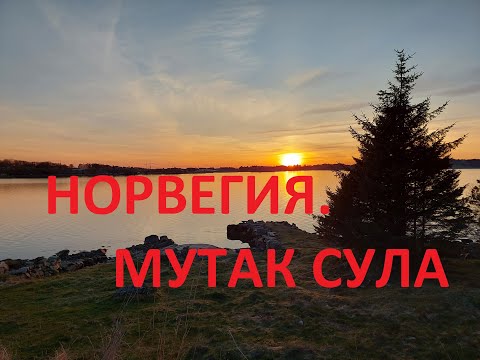 Видео: НОРВЕГИЯ. МУТАК СУЛА (SOLA)