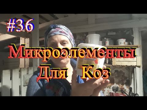 Видео: Важность микроэлементов и витаминов для коз / Выгул коров впервые в этом сезоне