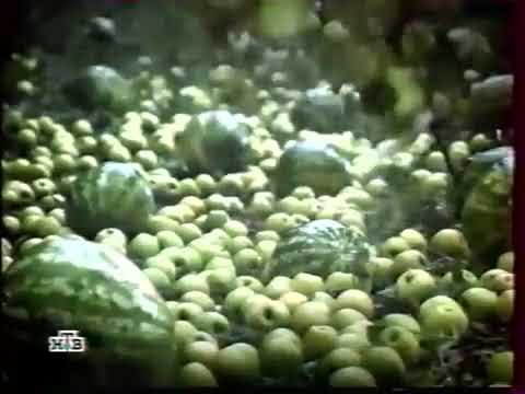 Видео: Программа передач и конец эфира (НТВ, 01.10.2003)