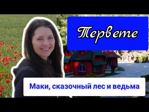 Видео: Маки и сказочный лес в Тервете. Отдых летом в выходные в Латвии | Путешествие из Риги