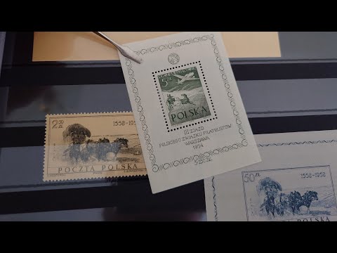 Видео: Почтовые марки фауна - Пополнение в нашу коллекцию - Fauna post stamps collection