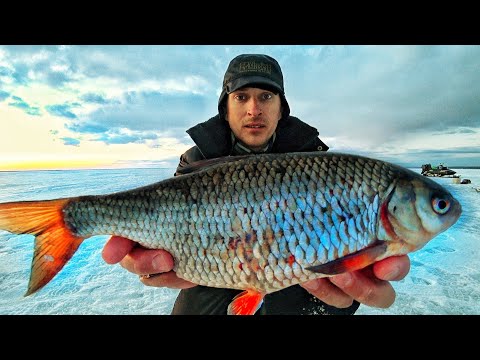 Видео: БЕЗМОТЫЛКА. ЛУЧШИЕ МОРМЫШКИ РЕЙТИНГ МАСТЕРОВ