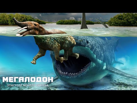 Видео: МЕГАЛОДОН СУЩЕСТВУЕТ?! ГДЕ ЖИВЕТ ОПАСНЫЙ МОНСТР ОКЕАНА?
