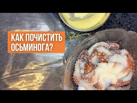 Видео: Как почистить осьминога?