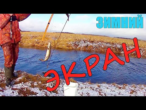 Видео: ЗИМНЯЯ РЫБАЛКА НА ЭКРАНЫ. Канавы полные хищника!!!