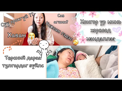 Видео: Хөөрхөн охинтойгоо уулзсан нь 💕төрсний дараах бүх асуудлын талаар 👌🏻 гам барих