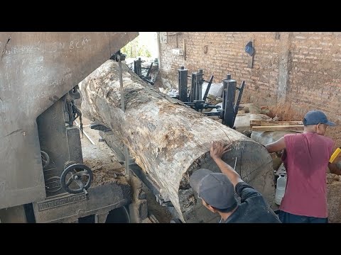 Видео: ГИГАНТСКАЯ ТЕХНИКА РАСПИЛОВКИ ДЕРЕВА!! ВСЕ БЫЛИ ПОРАЖЕНЫ, УВИДЕВ ЭТО