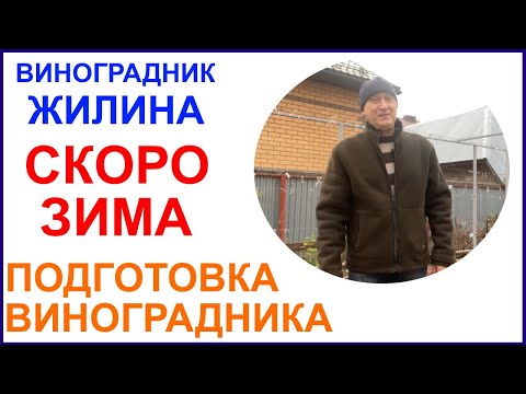 Видео: Готовлю виноградник к зимнему укрытию, отвечаю на вопросы, делюсь планами. 10 ноября 2022