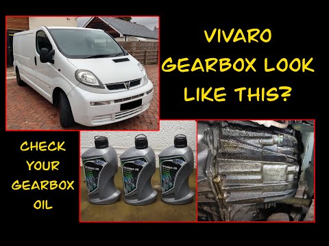 Видео: Проверьте масло в коробке передач вашего Vivaro!! Еще одна проблема с проектом Vinnie.