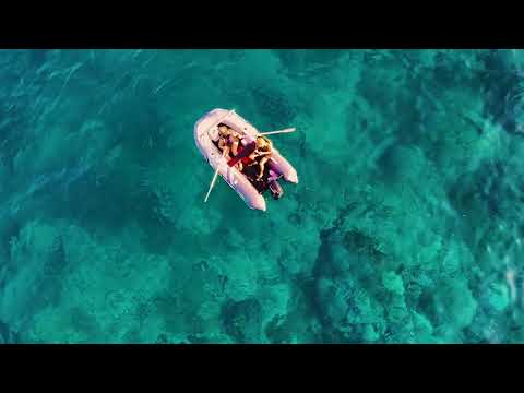 Видео: Прогулка на лодке к Диким берегам: Природа, острова и морские львы