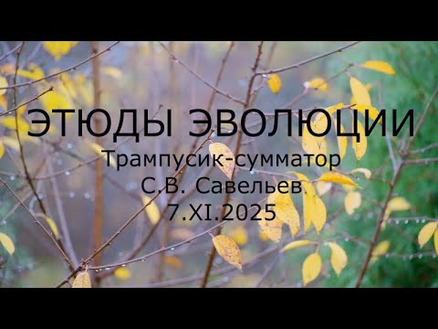 Видео: С.В. Савельев - Этюды эволюции. Трампусик-сумматор.