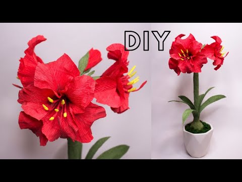 Видео: How To Make Amaryllis Paper Flower / Амариллис из гофрированной бумаги / DIY from corrugated paper