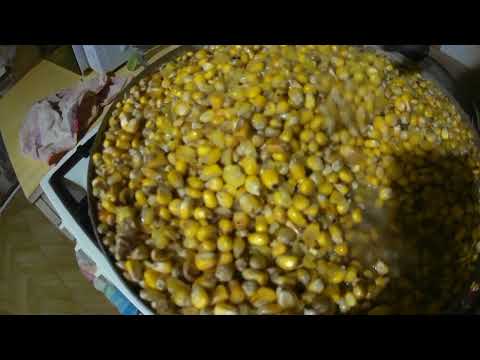 Видео: ЛУЧШАЯ Прикормка на САЗАНА, АМУРА, и Карпа! Приготовление Кислой "ПЬЯНОЙ" Кукурузы🌽