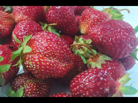 Видео: Как сделать домашний уксус из клубники? Часть 1.