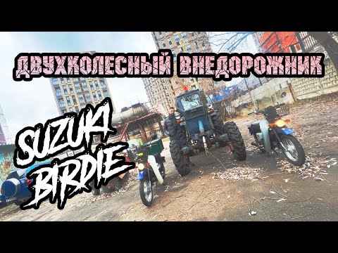 Видео: Лучше, чем Honda Super Cub? Мопед SUZUKI BIRDIE