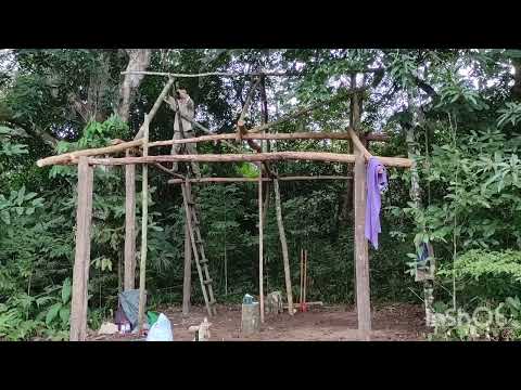 Видео: Строительство хижины в джунглях Боливии /  building a house in the Bolivian jungle