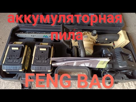 Видео: Аккумуляторная пила #FENG BAO