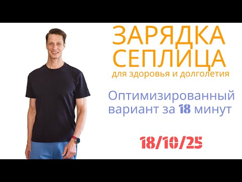 Видео: Быстрая зарядка Сеплица за 18 минут