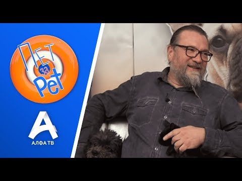Видео: ПЕТ ЗА PET | ЗОРАН ЏОРЛЕВ