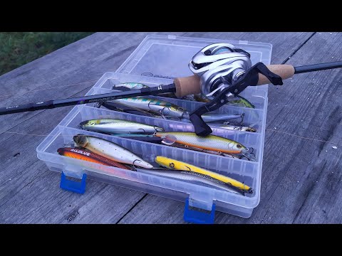 Видео: Закрываю сезон с Daiwa Prorex AGS Elite.