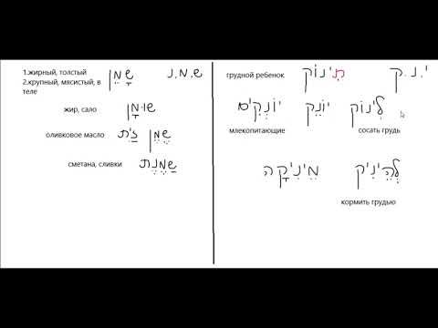 Видео: Лекция 41.  Курс Алеф.
