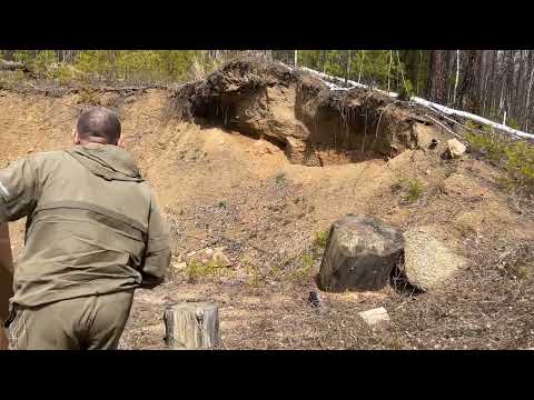 Видео: Охота на весеннего медведя часть 1