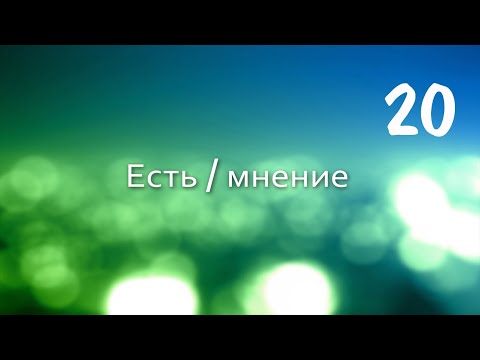 Видео: Вадим Плахотнюк: Есть мнение 20