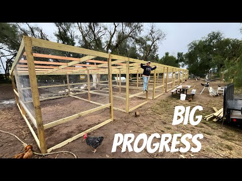 Видео: Строительство идеальных загонов для разведения кур | Часть 3