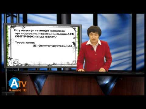 Видео: Предметтик тест. Биология. Уландысы 1.