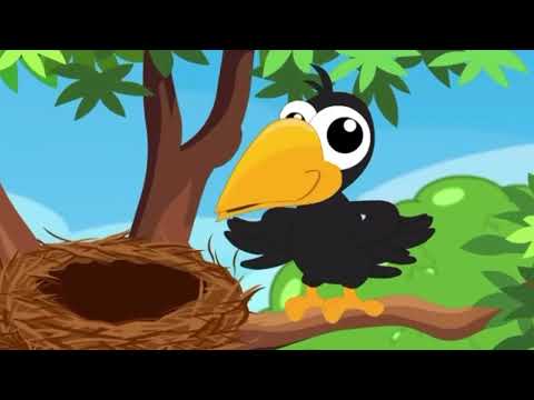 Видео: "Кішкентай ақылды балапан"